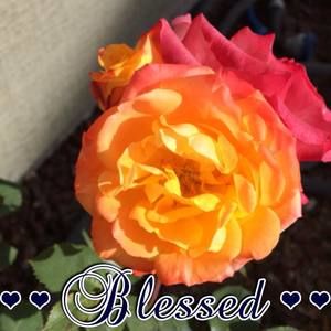 Meet your Posher, Leanne